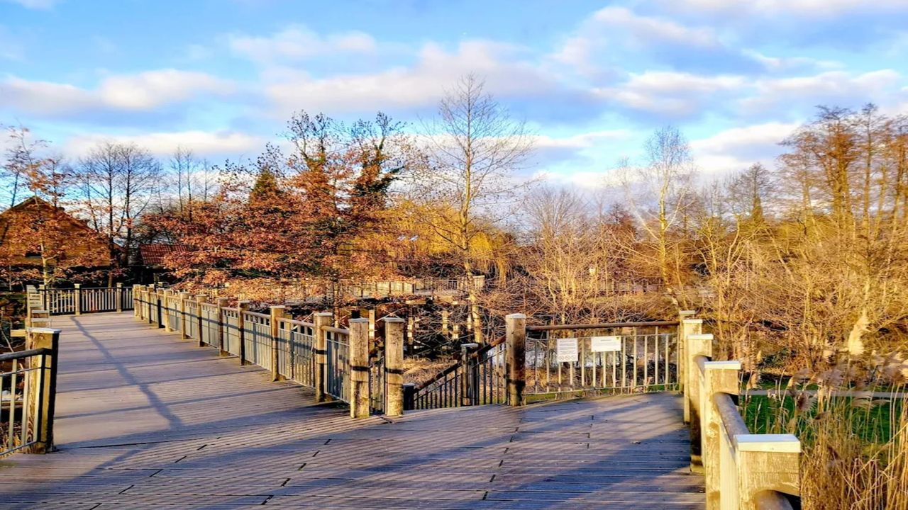 AreaSummer5KM AreaSummer5KM